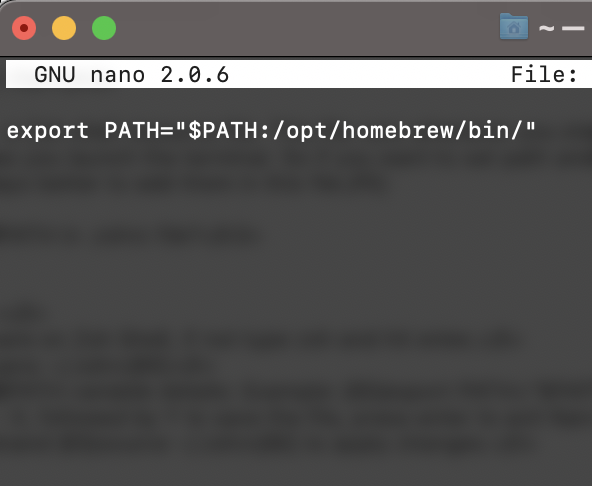 Permanenlty set PATH variable in Mac Zsh Shell